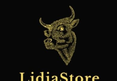 LidiaStore – Tenancingo de Degollado